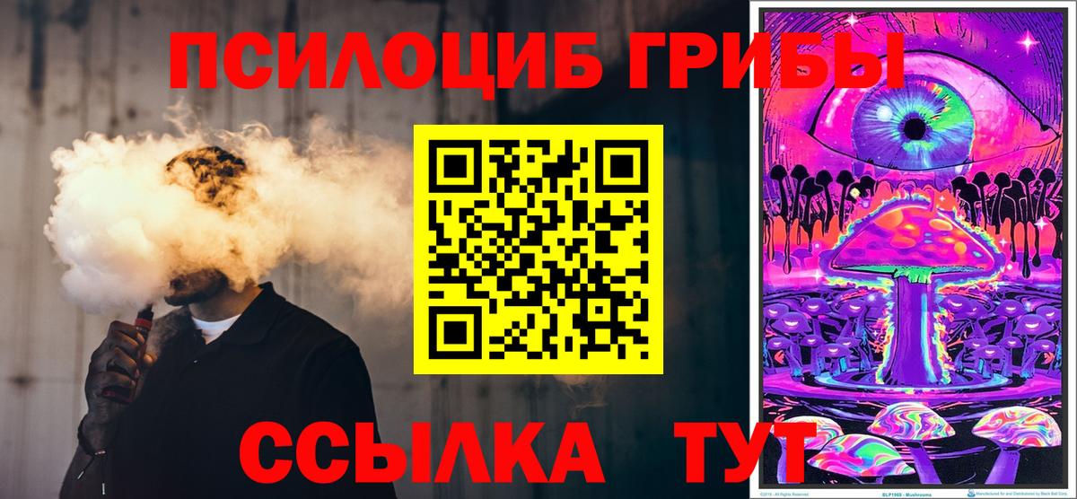 Гурьевск  Псилоцибиновые грибы GOLDEN TEACHER  Вход с VPN  Псилоцибиновые грибы ЛСД 